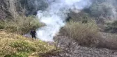 Sinop'ta çıkan yangının büyümesini polis önledi