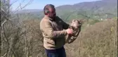 Tedavi edilen puhu kuşu doğal ortamına salındı