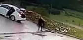 Bursa'daki mazgal hırsızlığı kamerada