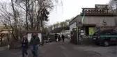 Lviv, savaş bölgelerinden kurtarılan hayvanların barınağı oldu