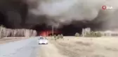 Sibirya'da orman yangını