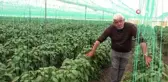 Zirai don Mersin'i vurdu, sebze ve meyveye ulaşmak hayal oldu
