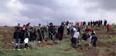 Çubuk'ta çocuklar 23 Nisan'a özel 102 fidanı toprakla buluşturdu