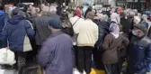 Saray'da ata tohumu fideler dağıtıldı