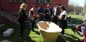 Operasyonda ele geçirilen antik küvet, Afrodisyas'ta