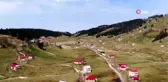 Karlar eridi, 'Mor Yayla'nın mavi yıldız çiçekleri kendini gösterdi