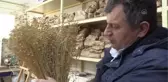 Endüstriyel keten çeşidi 