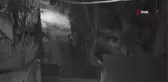 Yürekleri ağıza getiren koşturmaca... Çocuklar kaçtı, köpekler kovaladı
