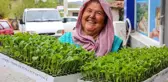 Buca Belediyesi'nden Üreticiye 100 Bin Sebze Fidesi