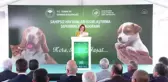 Sahipsiz Hayvanların Kısırlaştırılması Seferberliği etkinliği