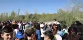 Çubuk'ta öğrenciler, diktikleri fidanların bakımını yaptı