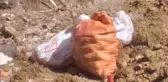 Balıkesir'de bulunan özelliğini kaybetmiş el bombalarının incelemesi tamamlandı