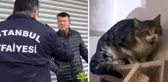 Mahsur kalan kediyi kurtarmaya gelen ekiplere, ev sahibi izin vermedi