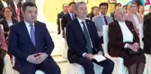 Uluslararası Türk Akademisi, 