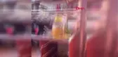 RESTORAN İLE EVE GİREN AYILAR, EŞYALARI PARÇALADI