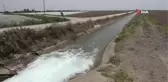 Adana'da 13 yaşındaki çocuk 