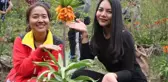 TAYLANDLI TURİSTLER, TERS LALELERİ GÖRMEK İÇİN HAKKARİ'YE GELDİ