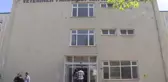 20 yaşındaki köpek 