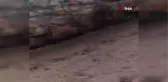 Diyarbakır'da sağanak etkili oldu