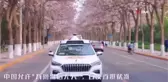Pekin'de ilk sürücüsüz taksiye onay