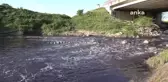 CHP Tekirdağ Milletvekili Aygun, Siyah Akan Ergene'nin Kenarına Giderek Açıkladı: 