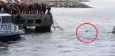 1 Mayıs kutlamaları için Adalar'dan gelen teknenin Maltepe'ye yanaşmasına izin verilmedi! CHP'li İlçe Başkanı yüzerek kıyıya çıktı