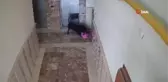 Son dakika haberi... Başıboş köpeğin saldırısına uğrayan 5 yaşındaki çocuk yaralandı...O anlar kamerada