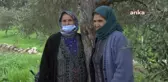 Enerji ve Tabii Kaynaklar Bakanlığı, Zeytinlikleri Madenciliğe Açan Yönetmeliği Savundu: 