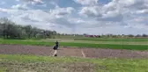 Son dakika haberi | Ukrayna'nın Lipivka köyünde Rus saldırılarının ardından mahsul ekimine başlandı