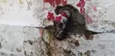 Doğal kaynak suları kuruyan mahalleli, 4 yıldır suyun geri gelmesini bekliyor- Mahalleye ismi verilen kaynak suyunun sondaj çalışması sonrasında...