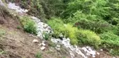 Sinop'ta Ormana Atılan Çöpler Tepki Çekti