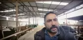 Süt Üreticileri, Ulusal Süt Konseyi'nin Fiyatları Artırmamasına Tepkili: 