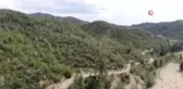 Son dakika haberleri! Antalya'da 14 yıl önce orman yangınında küle dönen alanlar yeniden yeşile büründü