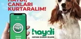 HAYDİ uygulaması nedir, nasıl çalışır? HAYDİ hayvan polisi ne iş yapar? HAYDİ uygulaması ücretli mi?