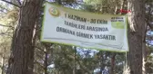 İZMİR'DE BAZI ORMANLIK ALANLARA GİRİŞ YASAĞI GETİRİLDİ