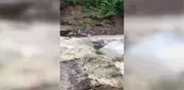 KASTAMONU - Küre ilçesinde sağanak nedeniyle seviyesi yükselen çay, geçici köprülere zarar verdi