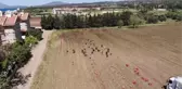 Turfanda patatesin hasadı başladı
