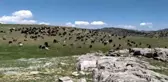 Kahramanmaraş'ta Yaylalara Göç Başladı: 