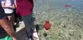 MUĞLA AKDENİZ'DEN EGE'YE DOSTLUK İÇİN YÜRÜDÜLER