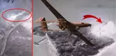 Rusya-Ukrayna savaşına Bayraktar TB2 SİHA damgası! Yılan adasına asker indiren helikopteri vurdu