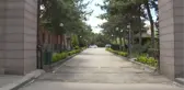 Şehit anneleri, Anneler Günü'nde evlatlarının kabri başında dua etti
