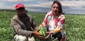 Adanalı Karpuz Üreticisi: Geçen Yıl 1 Dönüm Karpuzu 4 Bin Liraya Mal Ederken Şimdi 12 Bin Liraya Mal Ediyorum