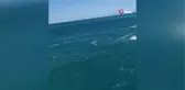Kayalıklardan denize atladı, boğulmak üzereyken kurtarıldı