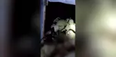 Malatya'da Kurtlar Ağıldaki 200 Koyunu Öldürdü