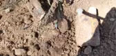 Ormanlık alanda yürüyen köylüler patlamamış bomba tespit etti