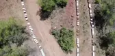 Gezgin kadın arıcıları en iyi bal için il il dolaşıyor
