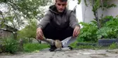 KEDİNİN SALDIRDIĞI CÜCE BALABAN KUŞUNU SON ANDA KURTARDI