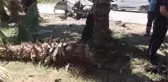 Takla atan otomobilin sürücüsü yaralandı