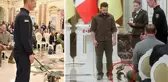 Zelenski'den Rus mayınlarını tespit eden köpeğe devlet nişanı