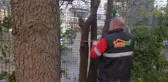 Anfa'dan Özel Mülklere Peyzaj Hizmeti